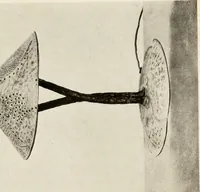 Picture 5 of 74 from Handicrafts in the home (1910), leaf 31