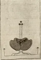 Picture 69 of 74 from Handicrafts in the home (1910), leaf 319