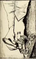 An illustration from Handicrafts in the home (1910)