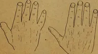 An illustration from The hand and its lines; a short treatise on palmistry .. (1902)