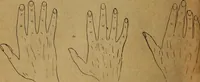 An illustration from The hand and its lines; a short treatise on palmistry .. (1902)