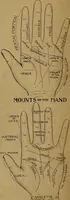 An illustration from The hand and its lines; a short treatise on palmistry .. (1902)