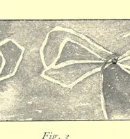Picture 2 of 3 from Hand work for kindergartens and primary schools; domestic activities, wood work, raphia, drawing, blue print; (1904), leaf 53