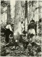 An illustration from Handwork in wood (1910)