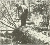 An illustration from Handwork in wood (1910)