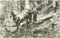 Picture 6 of 203 from Handwork in wood (1910), leaf 19