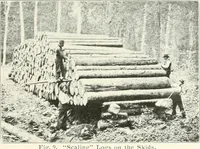 Picture 7 of 203 from Handwork in wood (1910), leaf 20