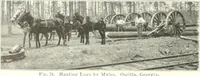 Picture 21 of 203 from Handwork in wood (1910), leaf 29