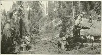 An illustration from Handwork in wood (1910)