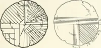 An illustration from Handwork in wood (1910)
