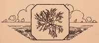 Picture 2 of 11 from Handy hands book (1924), leaf 17