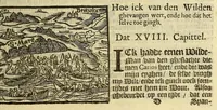 An illustration from Hans Staden van Homborgs beschrijvinghe van America, wiens inwoonders, wildt, naeckt, seer godloos, ende wreede menschen-eters zijn, hoe hy selve onder de Brasilianen lange gevangen geseten heeft . (1634)