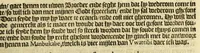 An illustration from Hans Staden van Homborgs beschrijvinghe van America, wiens inwoonders, wildt, naeckt, seer godloos, ende wreede menschen-eters zijn, hoe hy selve onder de Brasilianen lange gevangen geseten heeft . (1634)