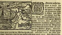 An illustration from Hans Staden van Homborgs beschrijvinghe van America, wiens inwoonders, wildt, naeckt, seer godloos, ende wreede menschen-eters zijn, hoe hy selve onder de Brasilianen lange gevangen geseten heeft . (1634)