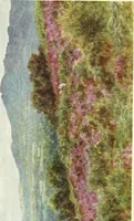 An illustration from Happy England as painted by Helen Allingham, R.W.S (1903)