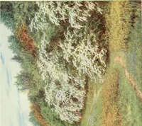 An illustration from Happy England as painted by Helen Allingham, R.W.S (1903)