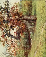 An illustration from Happy England as painted by Helen Allingham, R.W.S (1903)