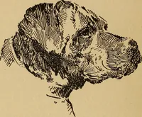 An illustration from Happy Hill (1920)