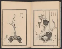 An illustration from Haran tebikigusa (1852)