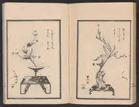 An illustration from Haran tebikigusa (1852)