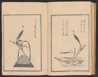 An illustration from Haran tebikigusa (1852)