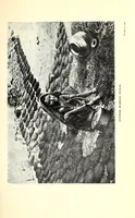 An illustration from The harim and the purdah; studies of Oriental women (1916)