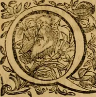 Picture 11 of 17 from Harmonia ex Evangelistis tribus composita Matthaeo, Marco, & Luca (1614), leaf 416