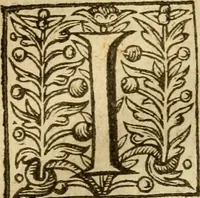 An illustration from A harmonie vpon the three Euangelistes Matthewe, Marke, and Luke : with the commentarie of M Iohn Caluine: faithfully translated out of Latine into English, by E.P. Whereunto is also added a commentarie vpon the Euangelist S. Iohn, by the same authour (1610)