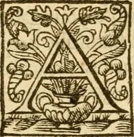 An illustration from A harmonie vpon the three Euangelistes Matthewe, Marke, and Luke : with the commentarie of M Iohn Caluine: faithfully translated out of Latine into English, by E.P. Whereunto is also added a commentarie vpon the Euangelist S. Iohn, by the same authour (1610)