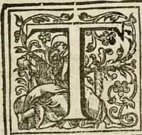 An illustration from A harmonie vpon the three euangelistes Matthewe, Marke, and Luke : with the commentarie of M. Iohn Caluine (1610)