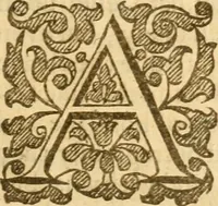 An illustration from An harmony of the confessions of the faith of the Christian and Reformed Churches, which purelie professe the holy doctrine of the Gospell in all the chiefe kingdomes, nations, and prouinces of Europe .. (1643)