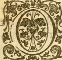 An illustration from An harmony of the confessions of the faith of the Christian and Reformed Churches, which purelie professe the holy doctrine of the Gospell in all the chiefe kingdomes, nations, and prouinces of Europe .. (1643)