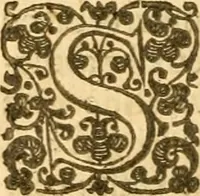 An illustration from An harmony of the confessions of the faith of the Christian and Reformed Churches, which purelie professe the holy doctrine of the Gospell in all the chiefe kingdomes, nations, and prouinces of Europe .. (1643)