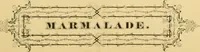 Picture 48 of 147 from Harpel's typograph : or Book of specimens containing useful information, suggestions and a collection of examples of letterpress job printing arranged for the assistance of master printers, amateurs, apprentices, and others, (1870), leaf 101