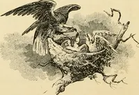 An illustration from Harpel's typograph : or Book of specimens containing useful information, suggestions and a collection of examples of letterpress job printing arranged for the assistance of master printers, amateurs, apprentices, and others, (1870)