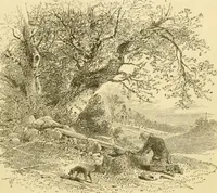 An illustration from Harpel's typograph : or Book of specimens containing useful information, suggestions and a collection of examples of letterpress job printing arranged for the assistance of master printers, amateurs, apprentices, and others, (1870)