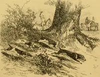 An illustration from Harpel's typograph : or Book of specimens containing useful information, suggestions and a collection of examples of letterpress job printing arranged for the assistance of master printers, amateurs, apprentices, and others, (1870)