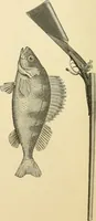 An illustration from Harpel's typograph : or Book of specimens containing useful information, suggestions and a collection of examples of letterpress job printing arranged for the assistance of master printers, amateurs, apprentices, and others, (1870)