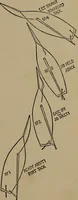 An illustration from Harper's boating book for boys; a guide to motor boating, sailing, canoeing and rowing (1912)