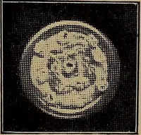 An illustration from Harper's handy-book for girls, ed (1910)