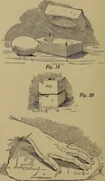 Picture 74 of 154 from Harper's handy-book for girls, ed (1910), leaf 182