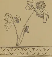An illustration from Harper's handy-book for girls, ed (1910)