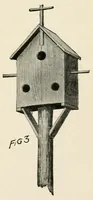 An illustration from Harper's outdoor book for boys (1907)