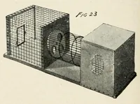 An illustration from Harper's outdoor book for boys (1907)
