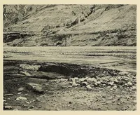 An illustration from Harriman Alaska series. vol. I-V, VIII-XIV (1910)