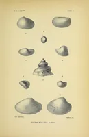 Picture 5 of 8 from Harriman Alaska series. vol. I-V, VIII-XIV (1910), leaf 175