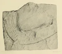 An illustration from Harriman Alaska series. vol. I-V, VIII-XIV (1910)