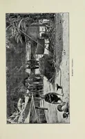 An illustration from Harry White, missionary to the Congo (1901)