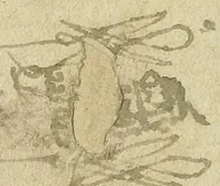 An illustration from Hassagoth shel ha-Ramban... : [in Hebrew]