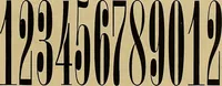 An illustration from Hauptprobe in gedrängter form der Bauerschen Giesserei, Frankfurt am Main: Filialen in Barcelona und Madrid, A. Numrich & Co. in Leipzig (1900)